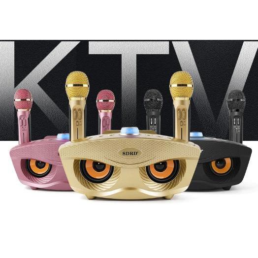 Mic Speaker Karaoke 2 Mic Portable Wireless Bluetooth Sdrd Sd 306 Terbaik