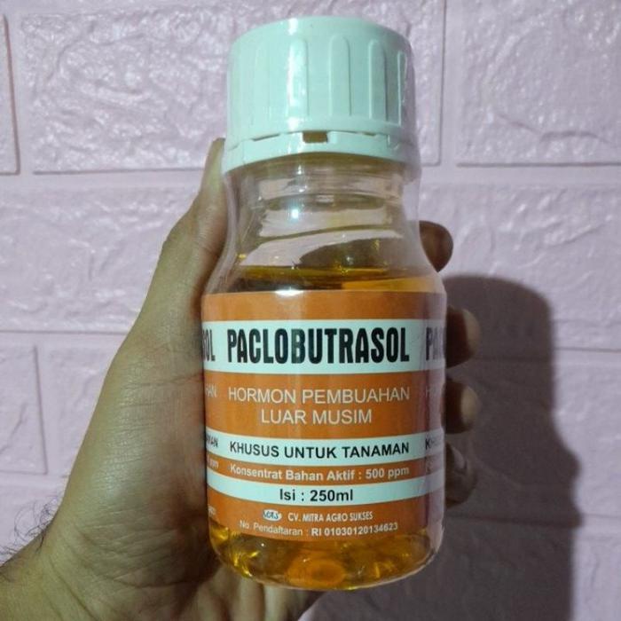 Little_Little_ Paclobutrazol 250 Ml Hormon Pembuahan Awal Musim Untuk Tanaman - Daun