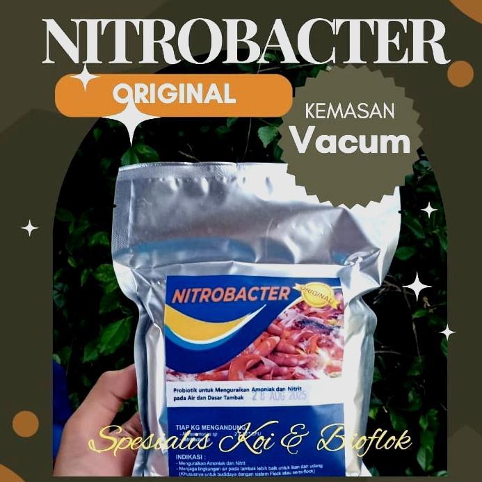 Probiotik Nitrobacter Nitrobac 500 Gram