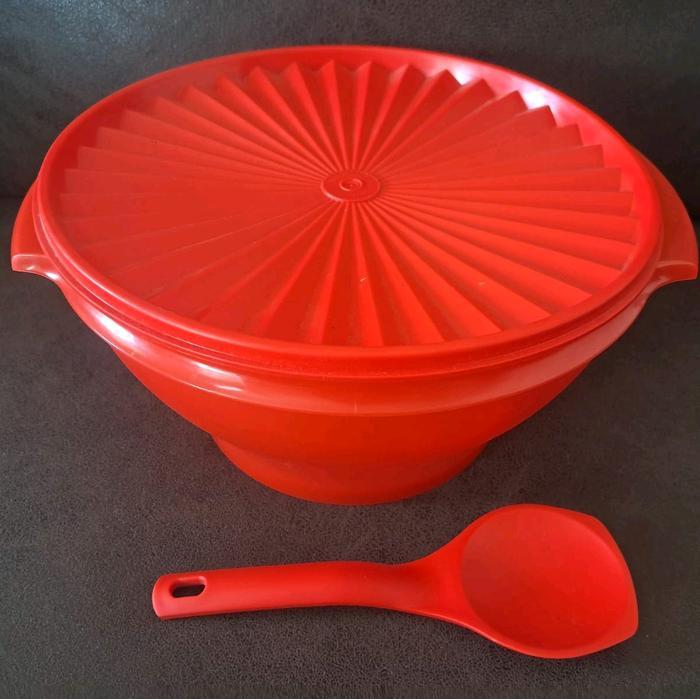 TUPPERWARE  Large rice bowl tempat wadah nasi + centong