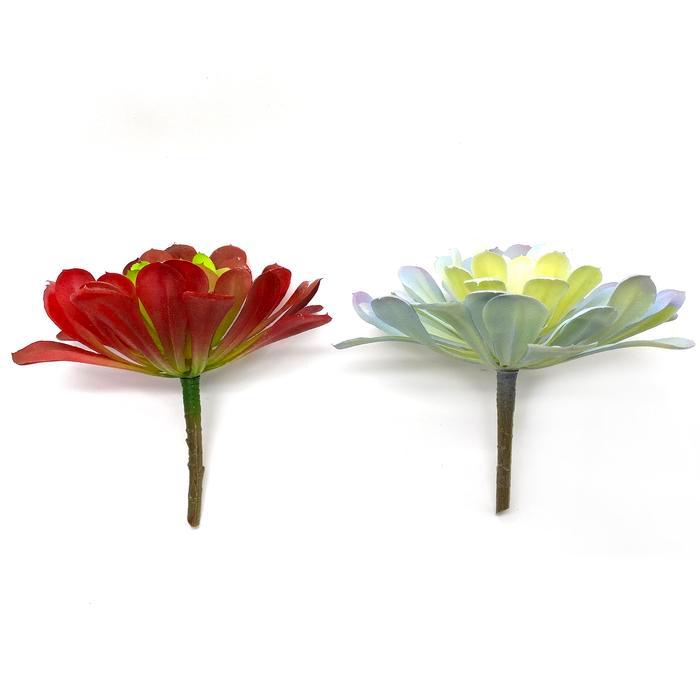 Scoop Tanaman Imitasi / Artificial Plant Sukulen Kaktus 60071100