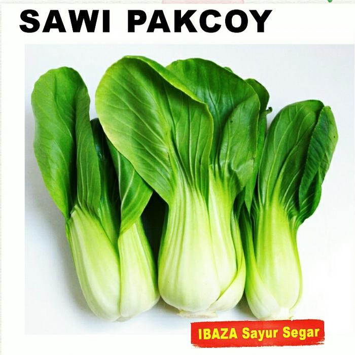 Sayur Segar SAWI SAWI PAKCHOY Sayur Segar IBAZA fruitsBOX ( ini adalah sayuran segar, BUKAN Benih )