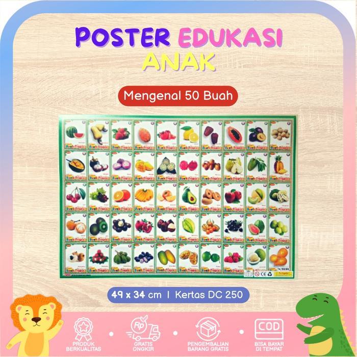 Poster Edukasi Anak Belajar Buah Isi 50 Kotak Karton