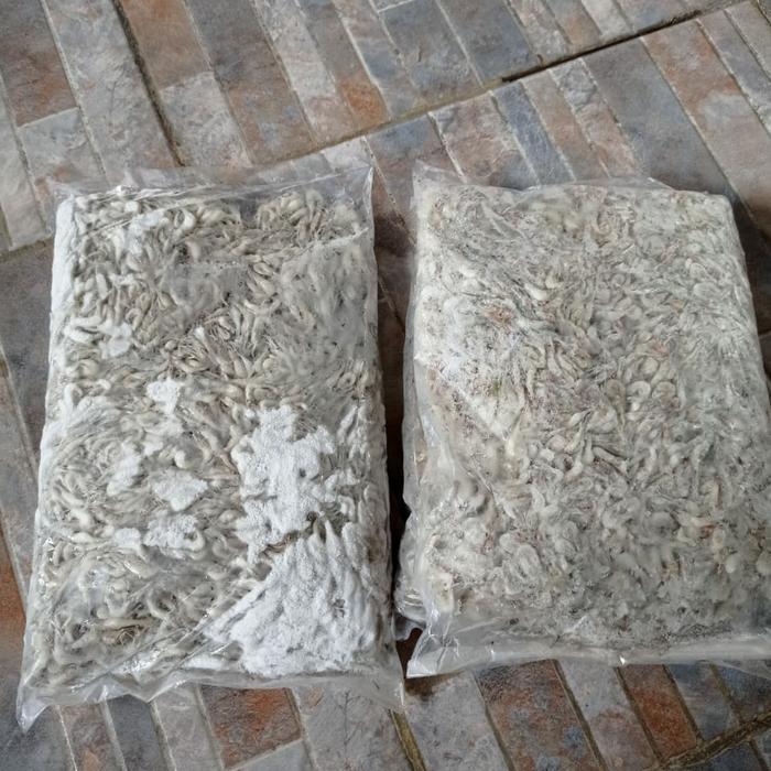 Udang Beku Rawa utk pakan ikan