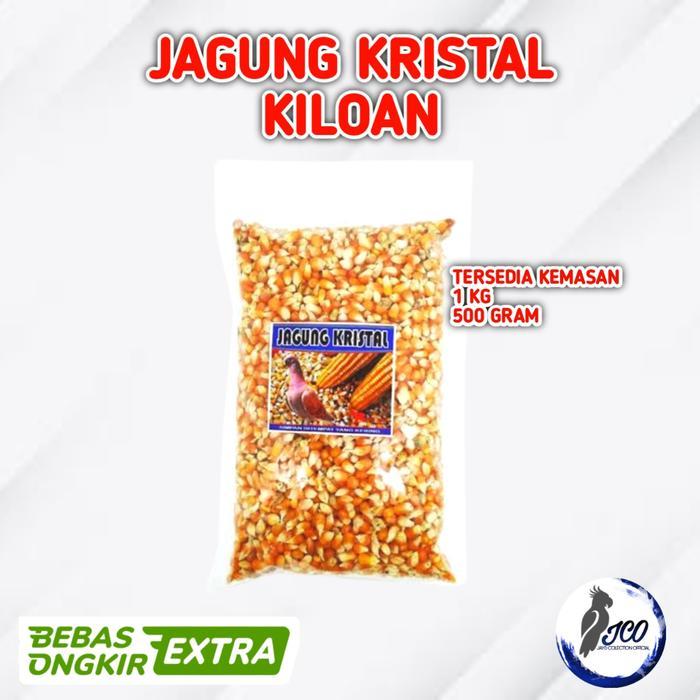 JAGUNG KRISTAL BURUNG DARA MERPATI JAGUNG KRISTAL SUPER