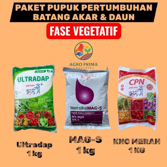 Termurah Paket Pupuk Kno Merah Ultradap & Mag-S Kemasan Original Pabrik 3 Kg Untuk Pertumbuhan Akat