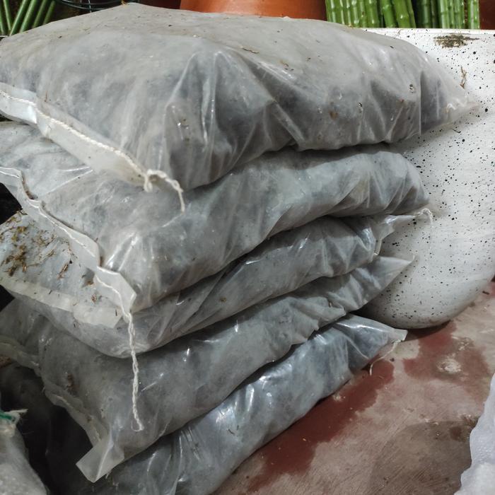 Batu Koral Hitam 1 karung / Batu Taman