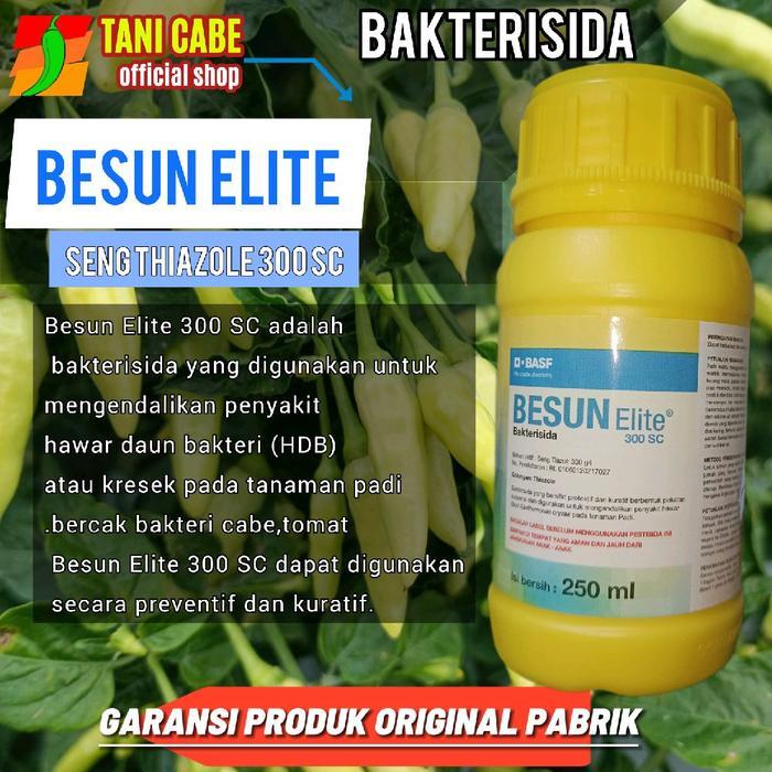 Besun Elite Fungisida dan Bakterisida 250 mL untuk Kresek Padi dan Berkualitas Tinggi - Daun,