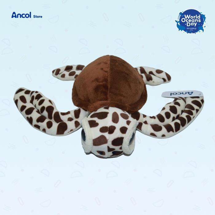 Ancol Boneka Karakter Turtle Big Eye Cokelat Tutul Kura Kura Mata Besar Official Merchandise sultan