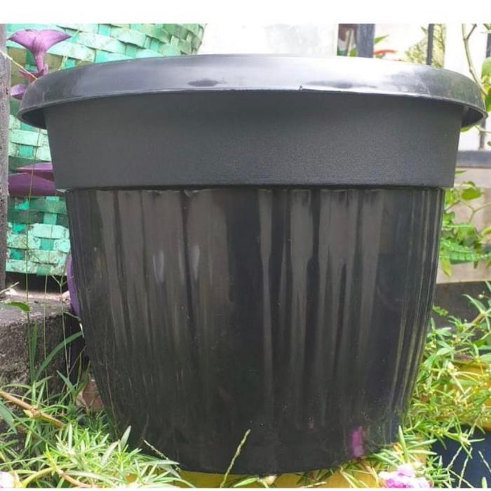 Pot Hitam Kuping Ukuran 30