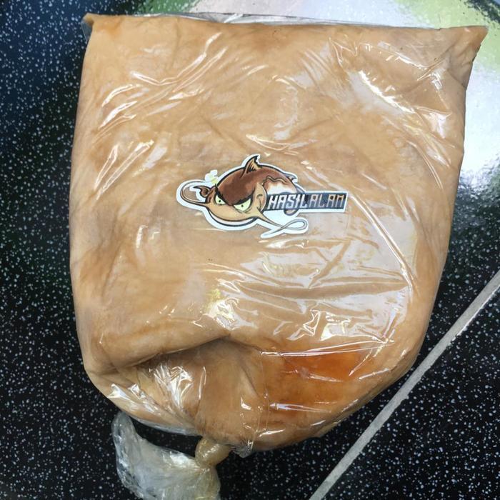 Lemak Kuda Sangat Amis Untuk Umpan Galatama Ikan Lele