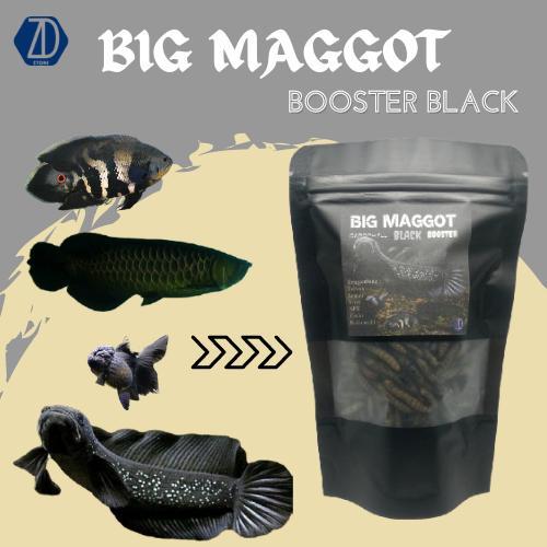 Maggot Kering Premium Black Pakan Ikan Chana Black Arwana Koki Oscar