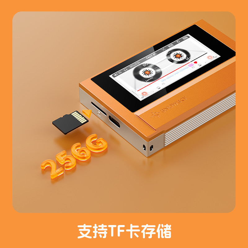 Fiio SnowSky Echo Mp3 Player Retro Bluetooth Wireless Support SBC Metal Case Portable Music Player