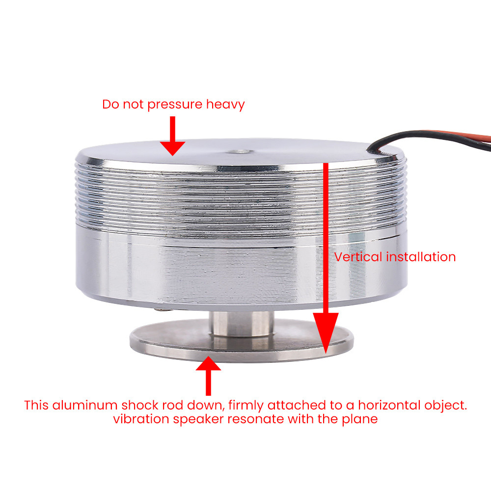 AIYIMA Vibration Full Range Speaker+ Amplifier+ Plug 2 Inch Audio Mini Portable 4/8 Ohm 20/25W