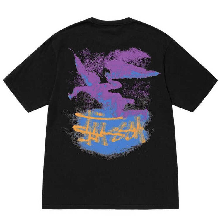 Stussy Short sleeved Men's Trendy T-shirt Loose Fallen Angel Fallen Angel