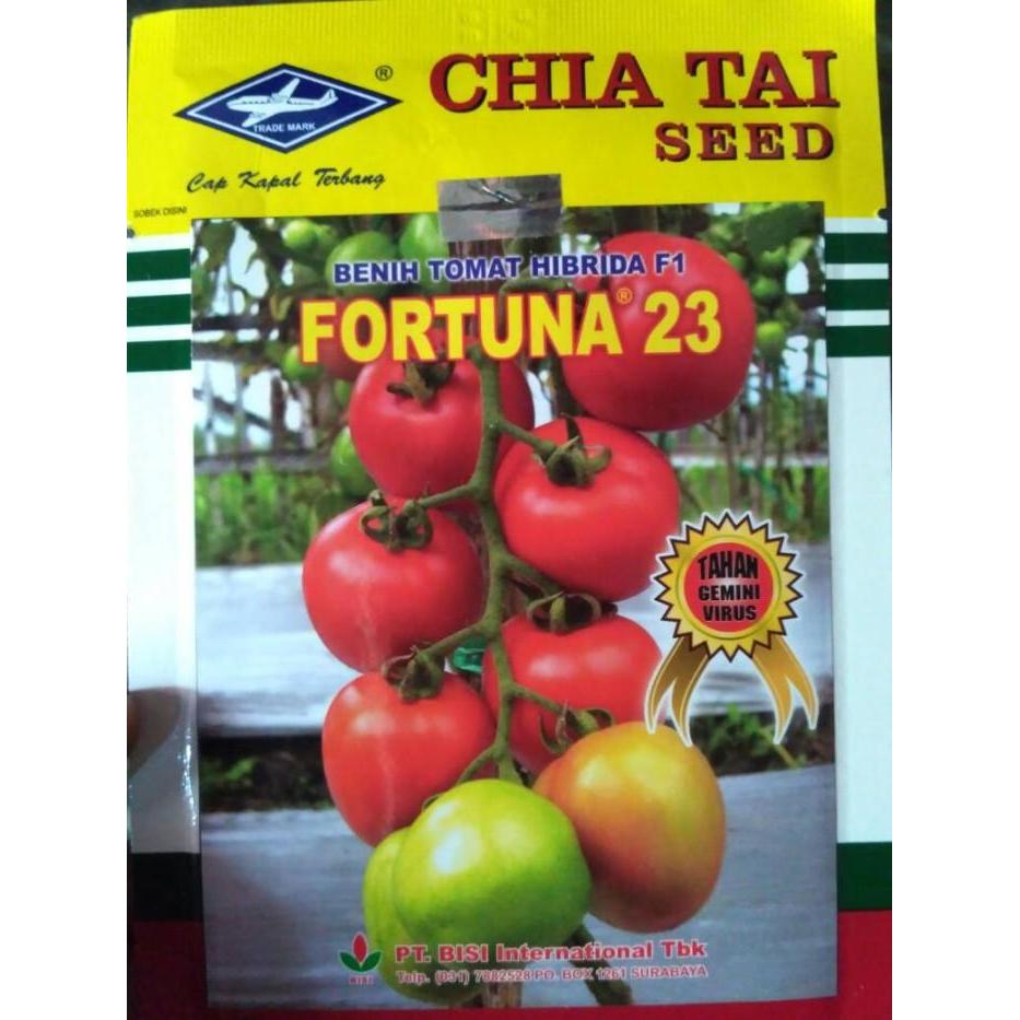 Thebest- Benih Tomat Fortuna 23
