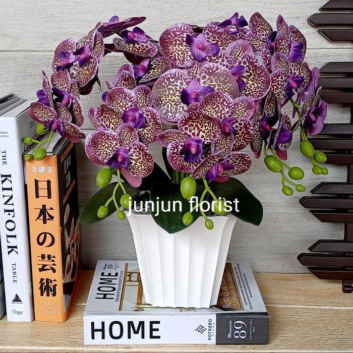 BUNGA ANGGREK HIAS DEKORASI RUANG TAMU