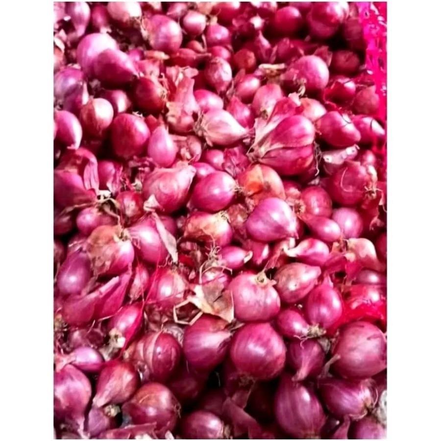 Bawang Merah india Bawang peking