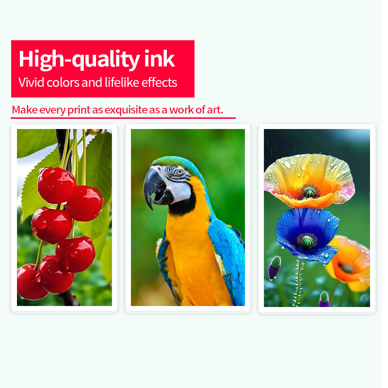 T7821 T7822 T7823 7824 7825 7826 Compatible Ink Cartridge With Water-based Dye Ink For Epson D700