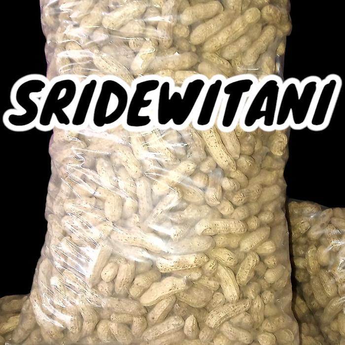 Koralineshop Benih Bibit Kacang Tanah 1 Kg Super Berkualitas Benih Sayuran