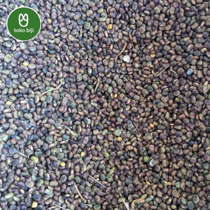 Thebest- Biji Benih CP (Centrosema pubescens)