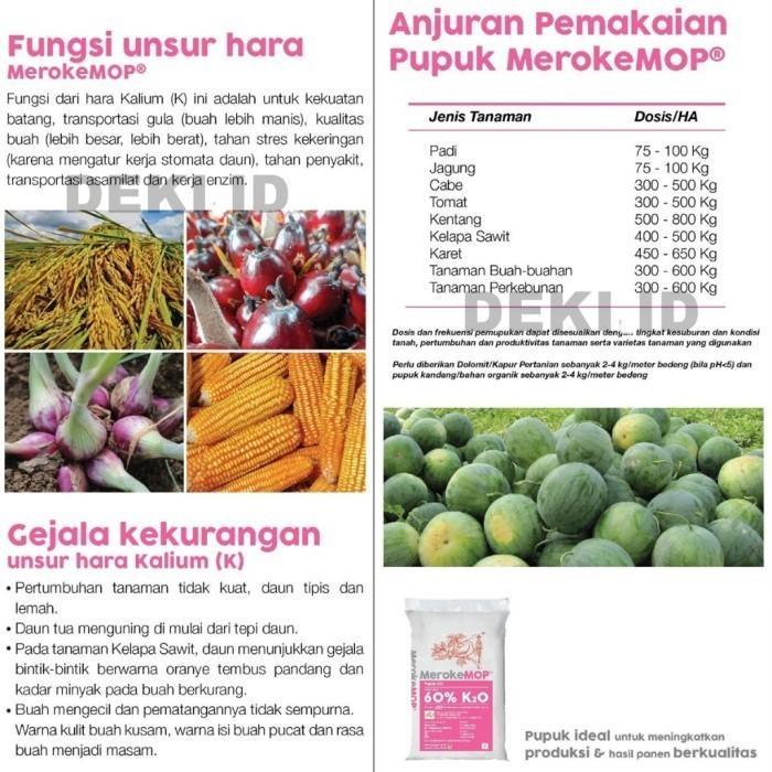 Koralineshop Mop Meroke 50 Kg Pupuk Kcl Via Kemasan Pabrik Tanaman Buah Sayur