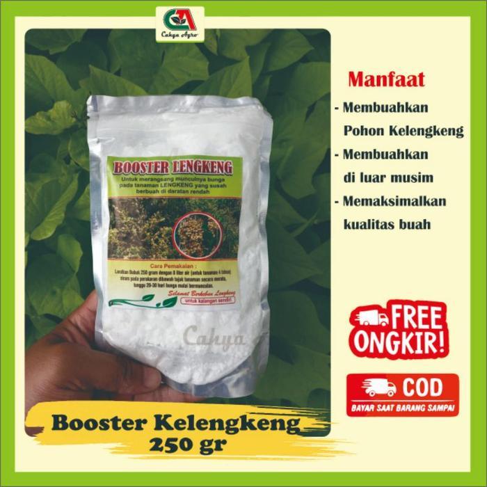 Boster Kelengkeng Pupuk Pembuahan Booster KCLO3 250 gram