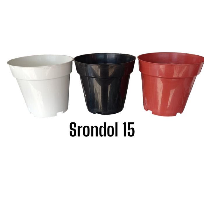 Pot Aglonema Pot Srondol Ukuran 15