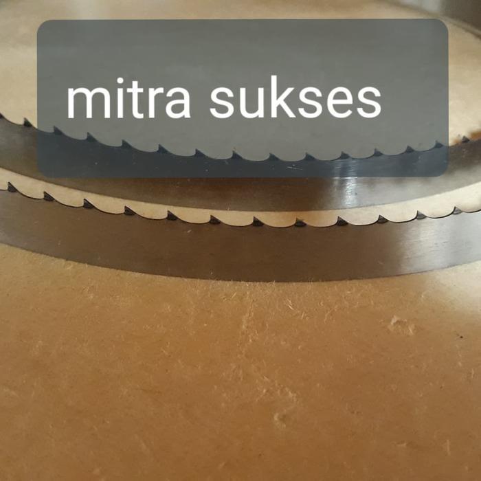 Mata Gergaji Untuk Potong Daging-Starrett Mk 2000 X 16 Mm X 0.5 X 3