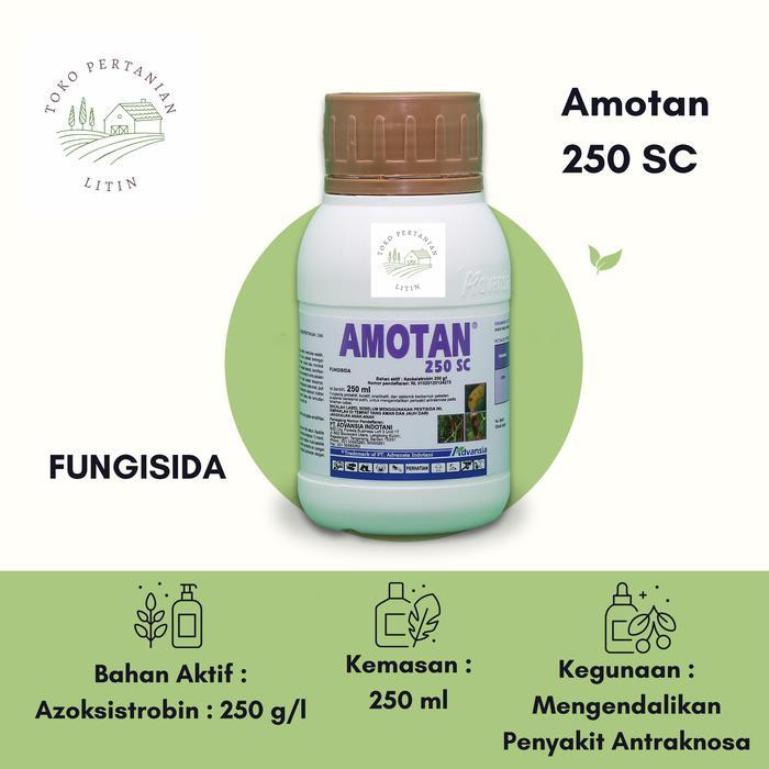 Amotan 250 SC - 250 ml ( Fungisida ) Pengendali Penyakit Tanaman Cabai