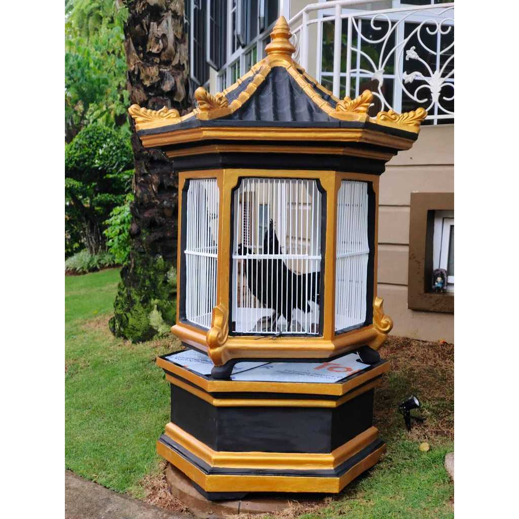 sangkar bekisar burung beo