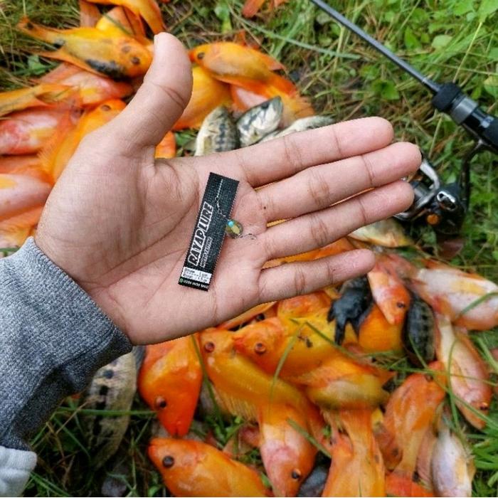 LURE RAYAP Umpan Wader Bader Nila