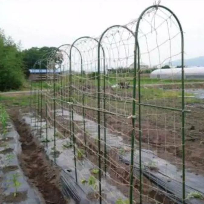 Thebest- Ajir lengkung 11x120cm