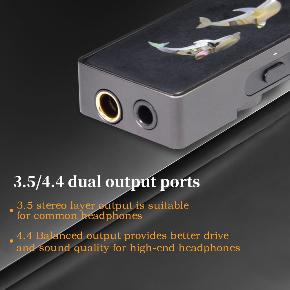 QIGOM Q2 Earphone Amplifier for 16O~600O, 125dB Signal Noise Ratio, Support PCM DSD, Reduces Noise