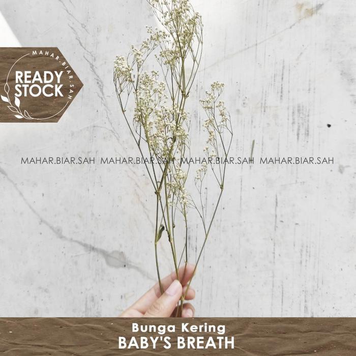 3 Gr Baby's Breath Lokal / Baby Breath / Dried Flower / Bunga Kering / Dried Babys Breath / baby