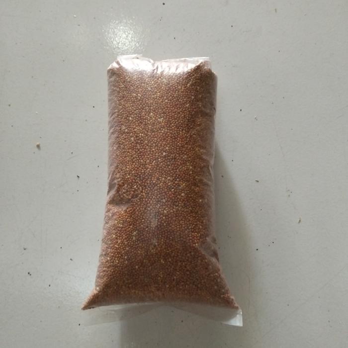 Jewawut Pakan Makanan Burung Perkutut,Blackthroat 500Gr