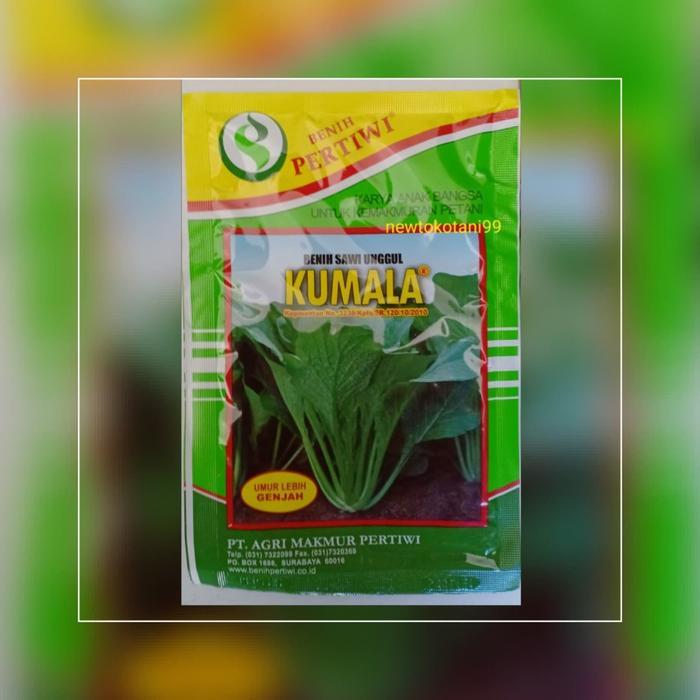 Benih bibit sawi unggul KUMALA 25 gram produksi pertiwi sawi kumala