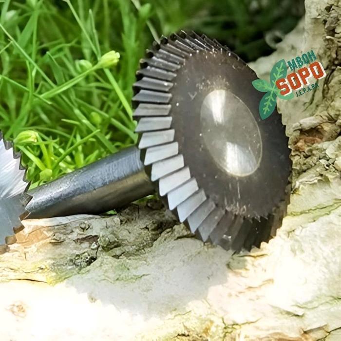 Alat Bonsai, Mata Bor Ukir, Mata Bor Jin As 6Mm, Untuk Nge'Jin Batang Bonsai