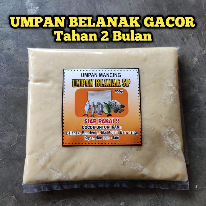 Umpan Ikan Belanak Siap Pakai Jaminan Gacor