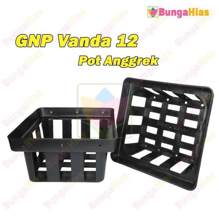 GNP VANDA 12 Kotak Pot Anggrek Bulan Tanaman Bunga Hias Gantung