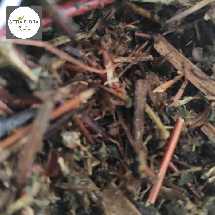 Media Tanam Humus Andam Murni Via Cargo