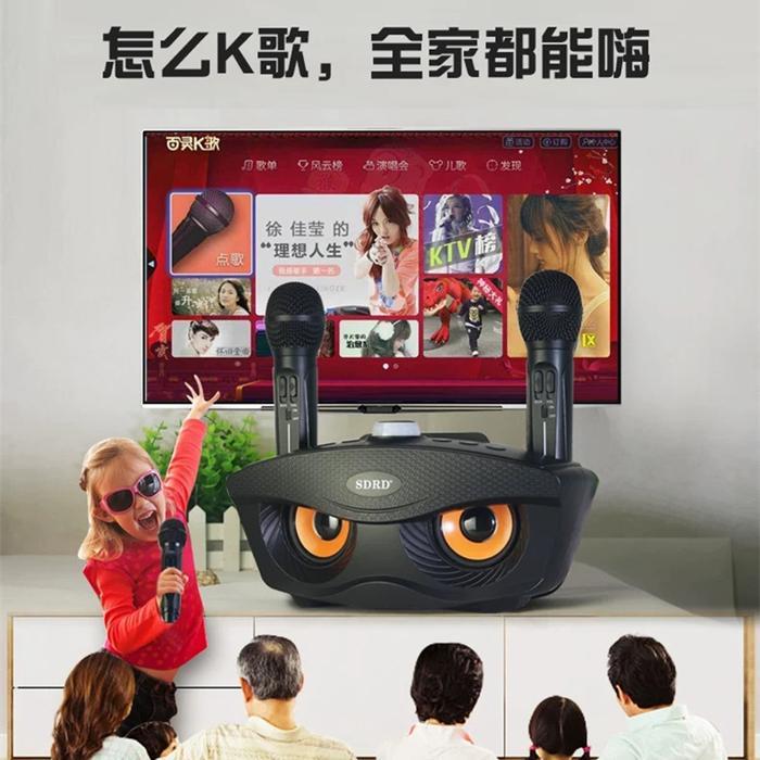 Mic Karaoke Sdrd Sd-306 Wireless Bluetooth Dual Mikrofon Populer