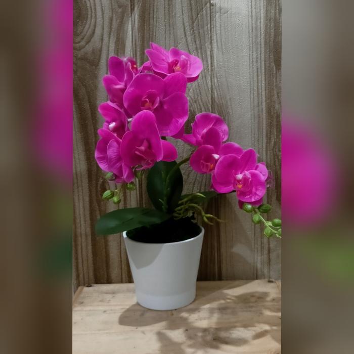 RANGKAIAN ANGGREK ARTIFICIAL PREM. LATEX IMPORT-FUSCHIA