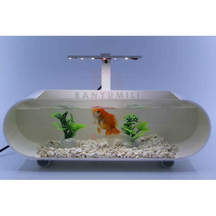 Premium Aquarium Mini Akrilik,Mini Aquarium Akrilik,Aquarium Pipa Original