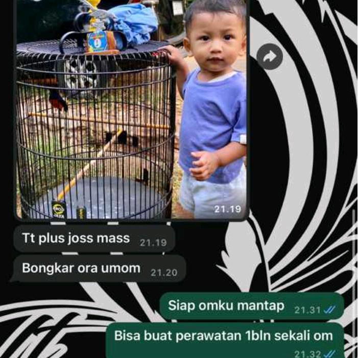 Gurah Burung Tt Plus Original Gurah Semua Burung Terlaris