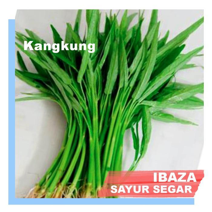 KANGKUNG SAYUR KANGKUNG Sayur Segar IBAZA fruitsBOX