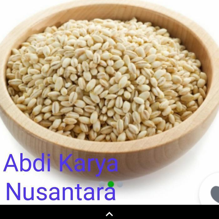 Jali Jali 1Kg Biji Jali-Jali 1 Kg Pearl Barley Produce Of Holland -Gratisongkir