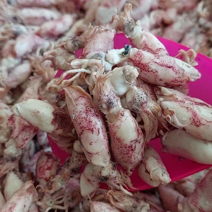 "New" cumi baby asin 1kg/baby cumi asin 1kg