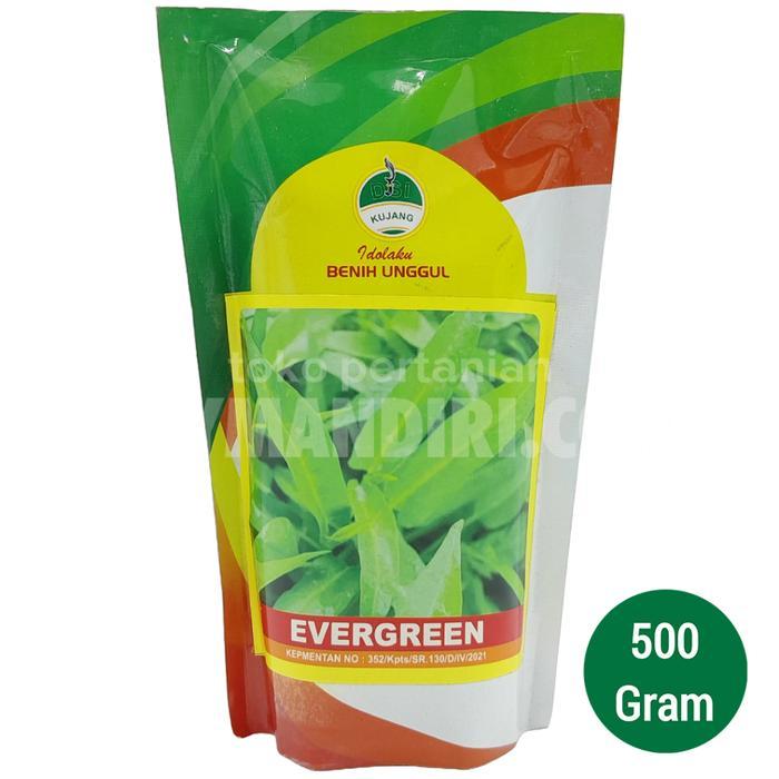 Benih Kangkung Evergreen @500 gram