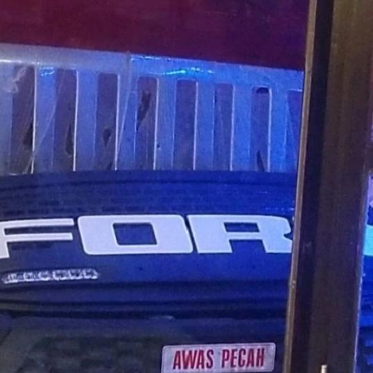 Grill Ford Ecosport White Led